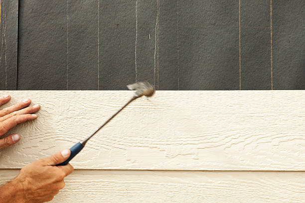 Best Fiber Cement Siding Installation  in Kilgore, TX